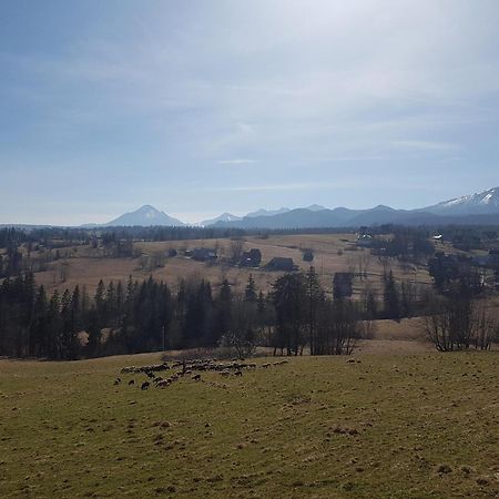 Villa Dorota Zakopane Buitenkant foto