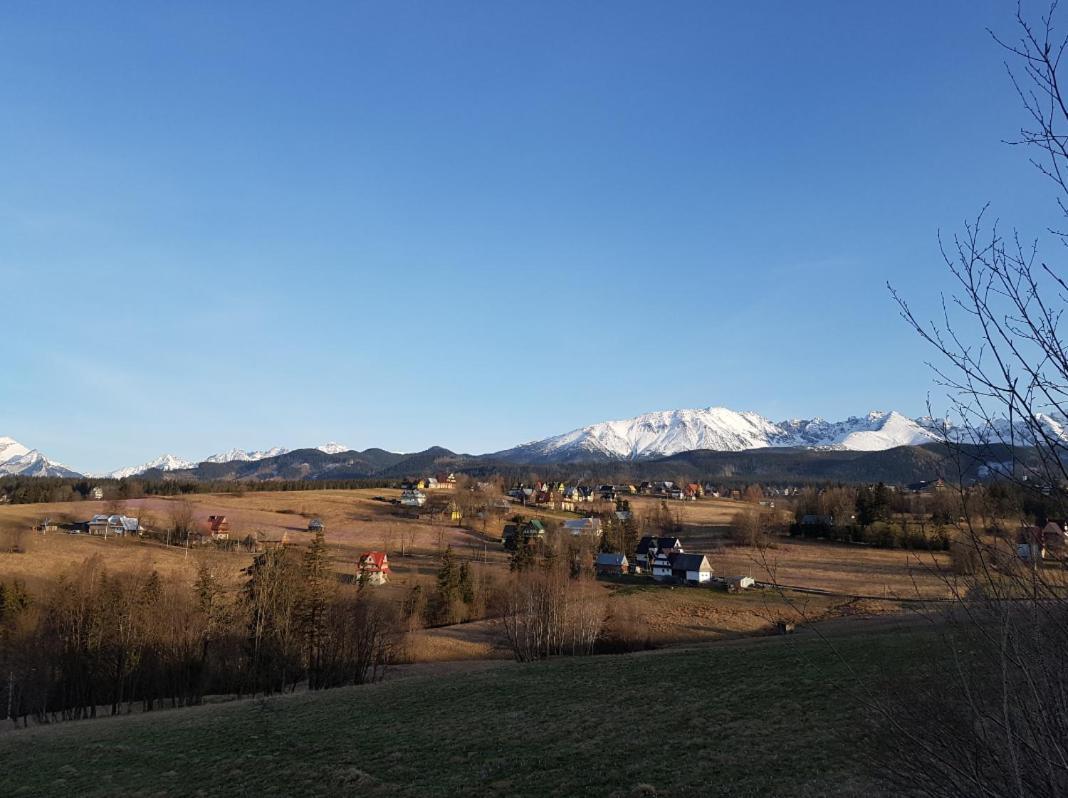 Villa Dorota Zakopane Buitenkant foto